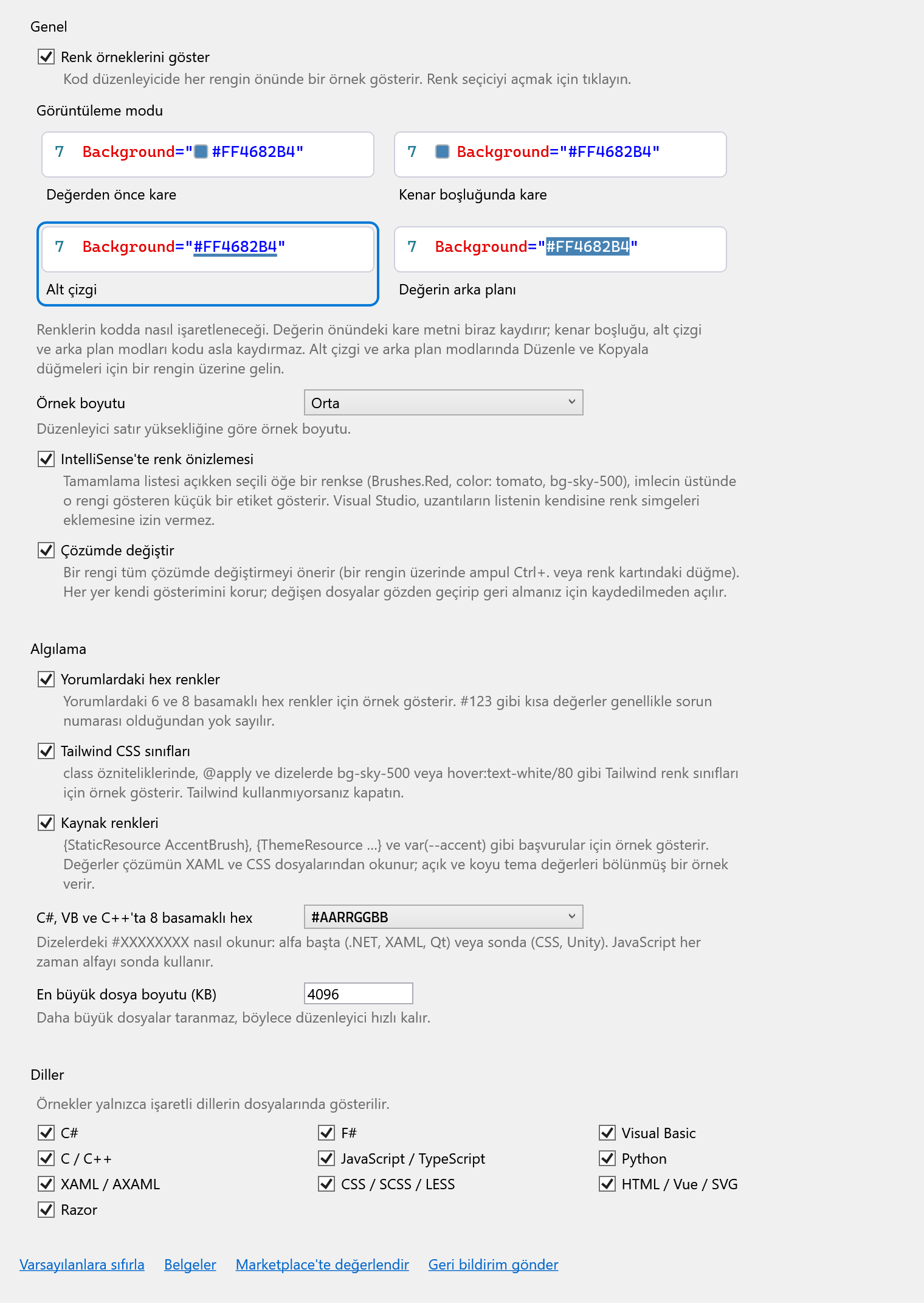 ColorSmith seçenekler sayfası