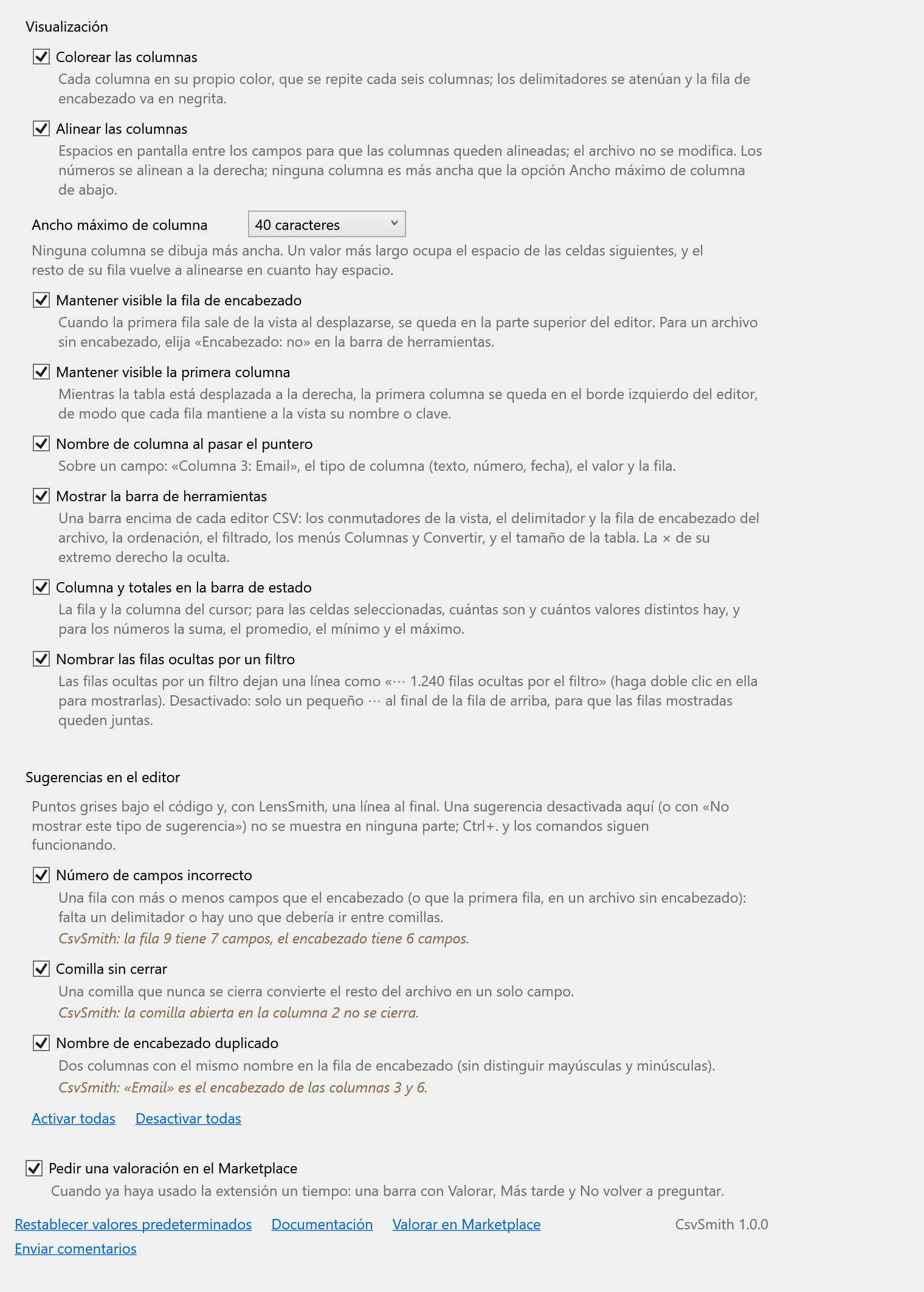 La página de opciones de CsvSmith