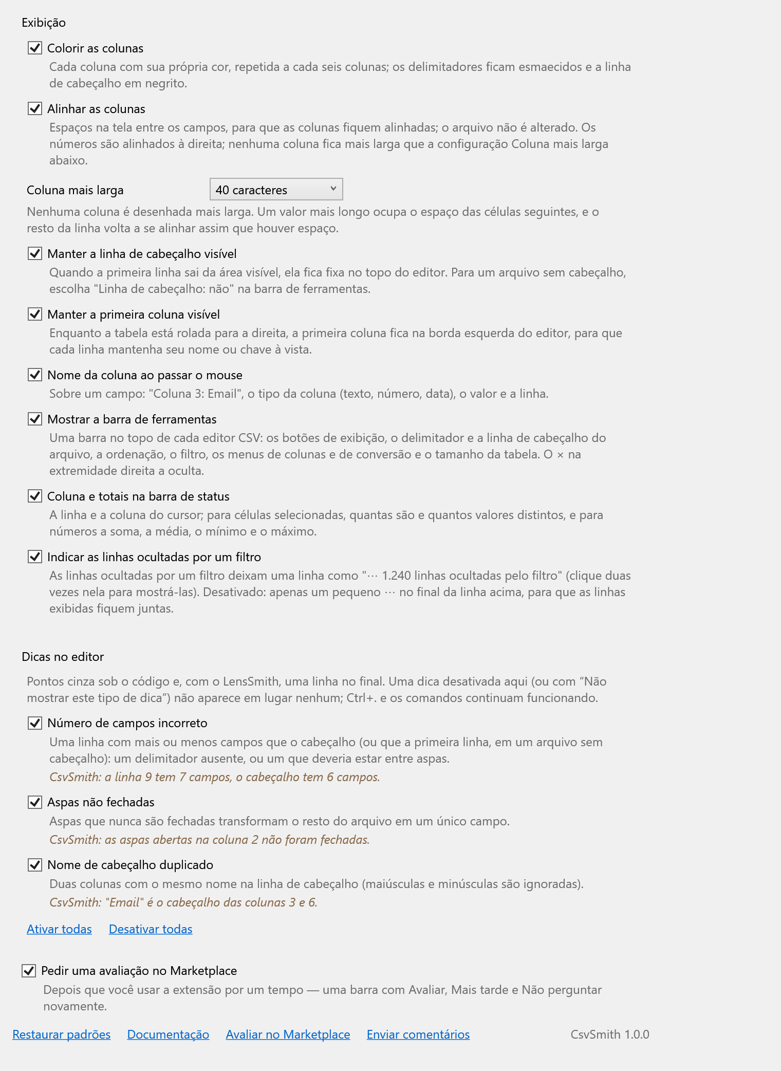 A página de opções do CsvSmith