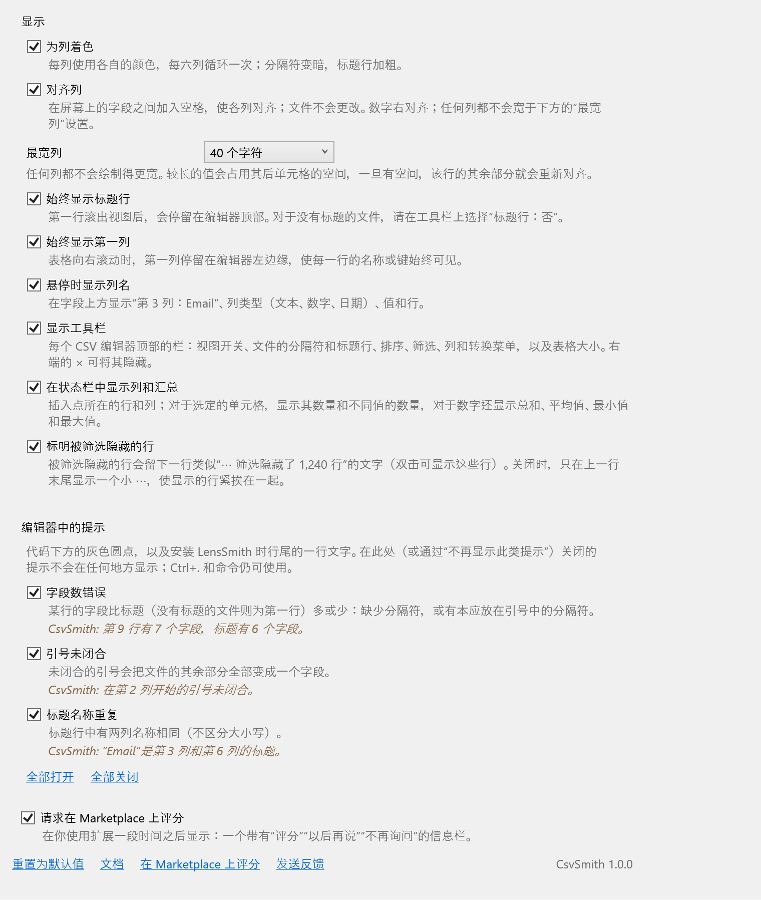 CsvSmith 选项页