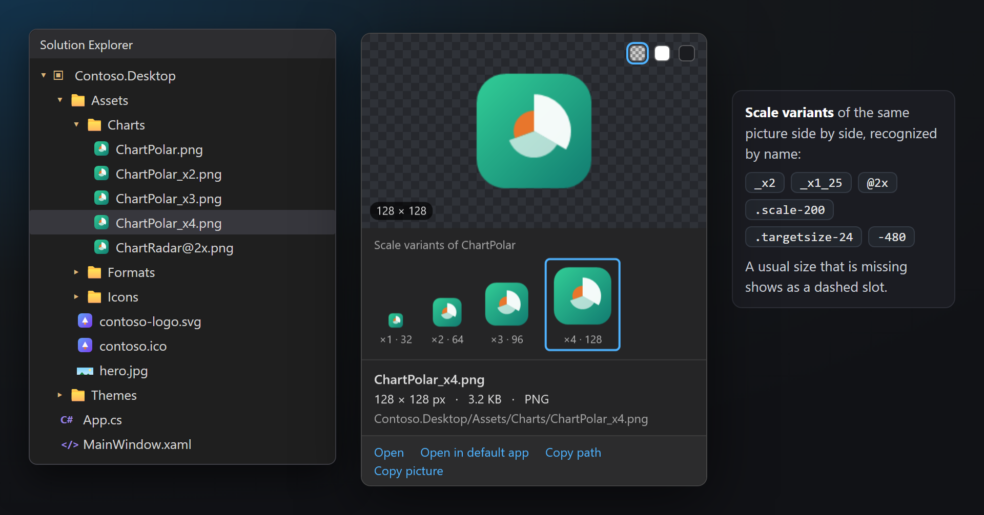Solution Explorer